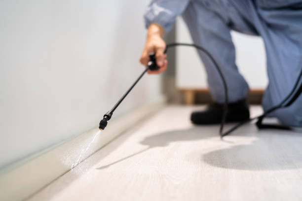 Licensed Fumigation Services service in Dundalk, MD - Nex Pest Control