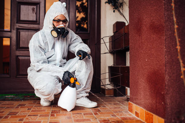 Reliable Fumigation Services contractor in Dundalk, MD by Nex Pest Control
